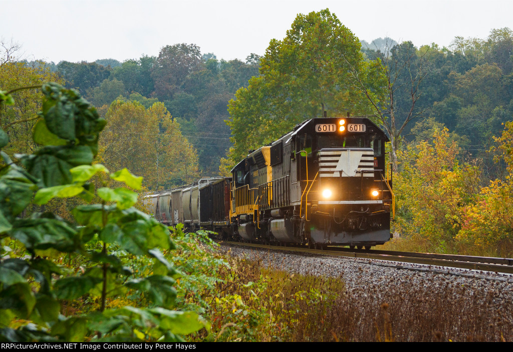 Fall Foliage